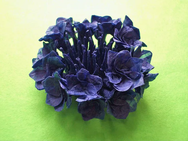 Cornflower