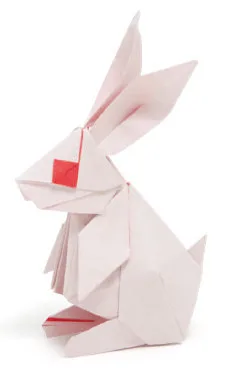 Rabbit