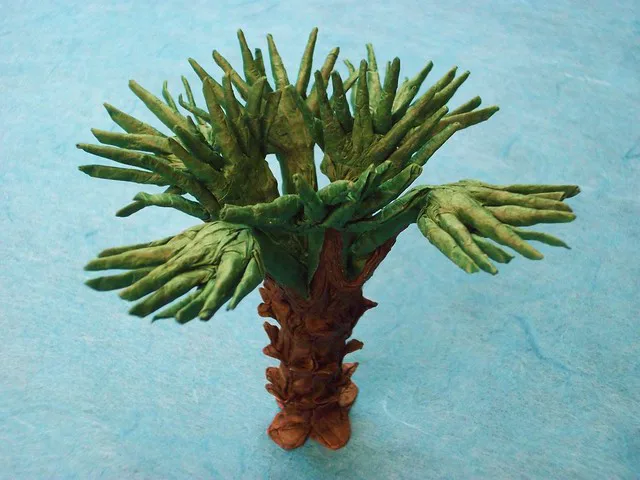 Fan palm