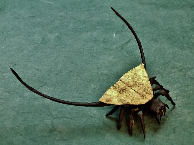 Horned Spider
