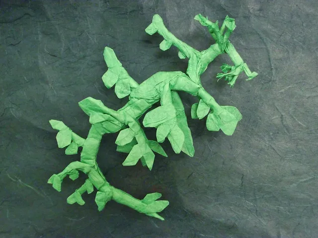 Leafy Sea Dragon