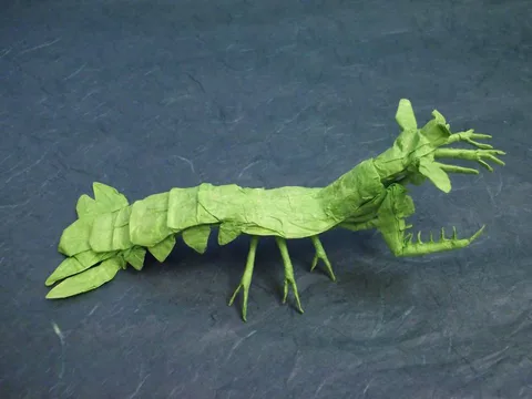 Mantis Shrimp