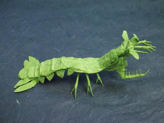 Mantis Shrimp