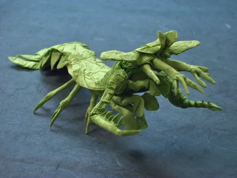 Mantis Shrimp