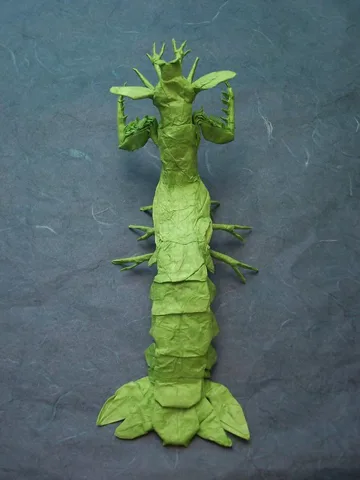 Mantis Shrimp