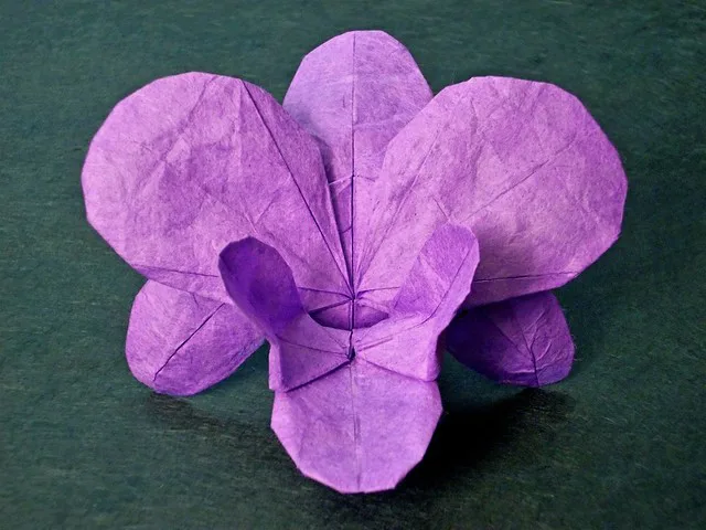 Purple Orchid