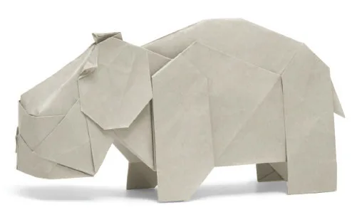 Hippopotamus