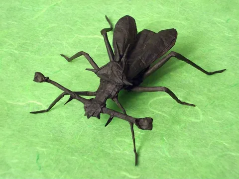 Stalk-eyed Fly — паттерн