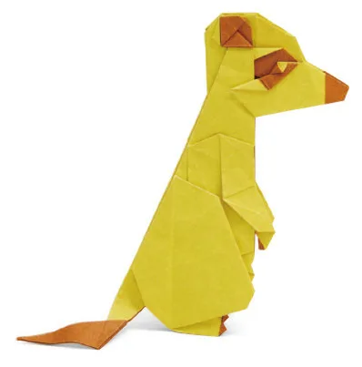 Meerkat