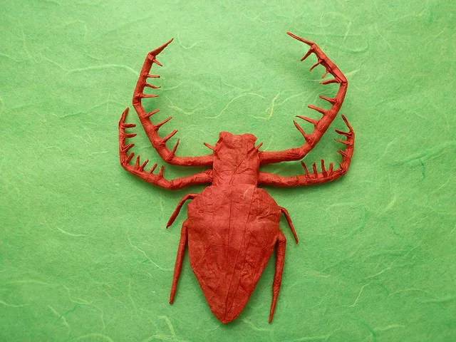Triangular Spider