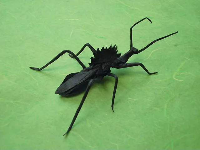 Wheel Bug