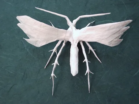 White Plume Moth