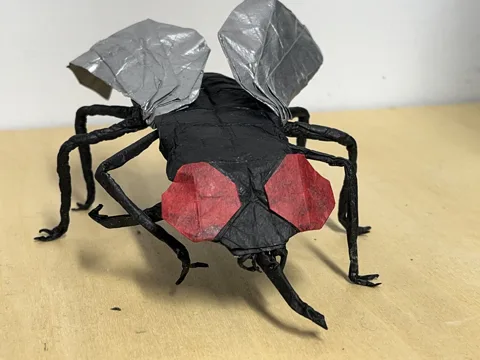Cannibalistic Housefly v2