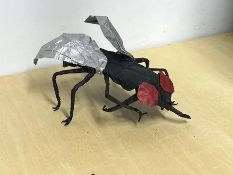 Cannibalistic Housefly v2