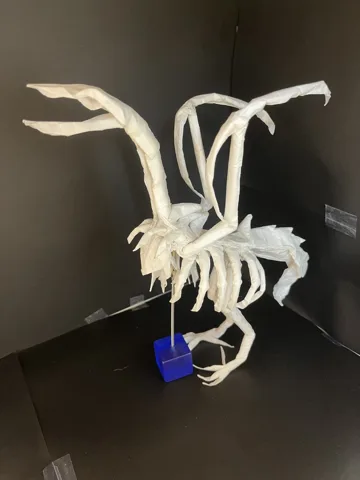 Vulture skeleton