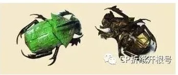 Rainbow scarab beetle (PD)