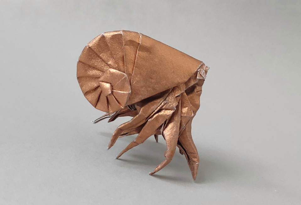 Creatue of the deep