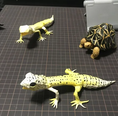 Leopard Gecko