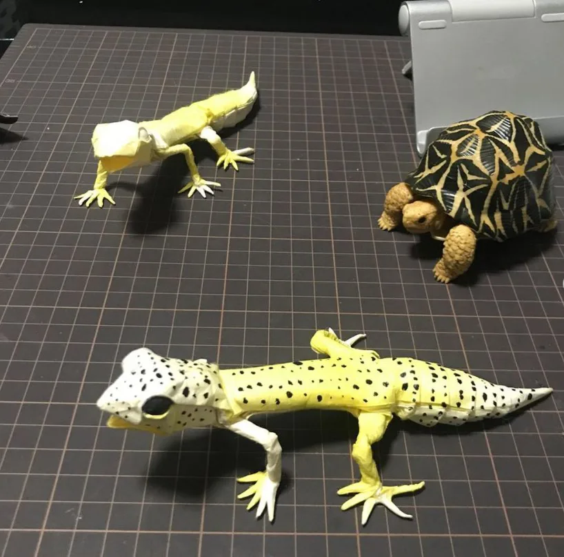 Leopard Gecko