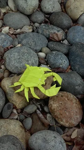 Crab