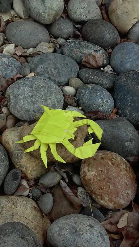 Crab