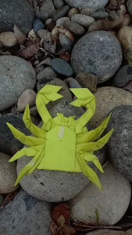 Crab