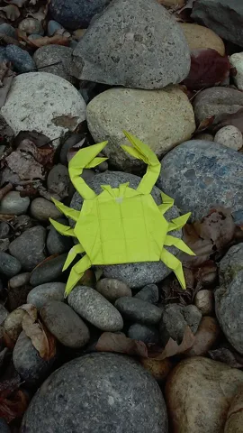 Crab