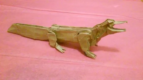 Crocodile