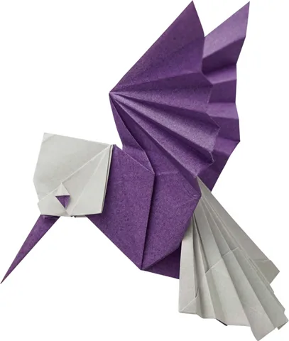 Hummingbird