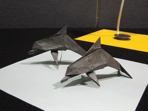 Dolphin