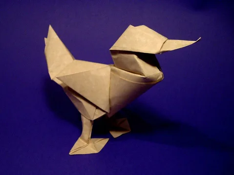Duck