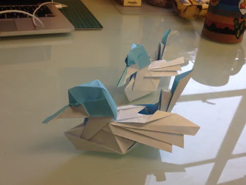 Duck 2.1