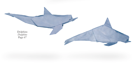 Dolphin