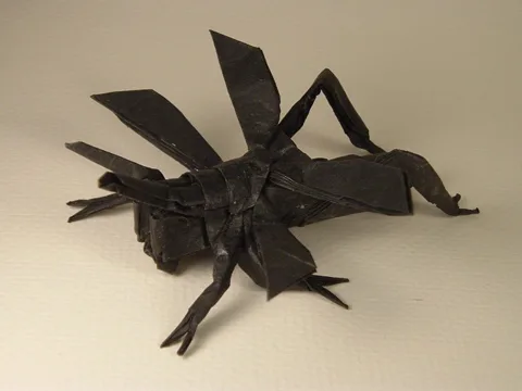 Grasshopper