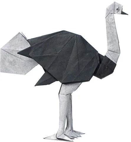 Ostrich