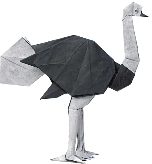 Ostrich