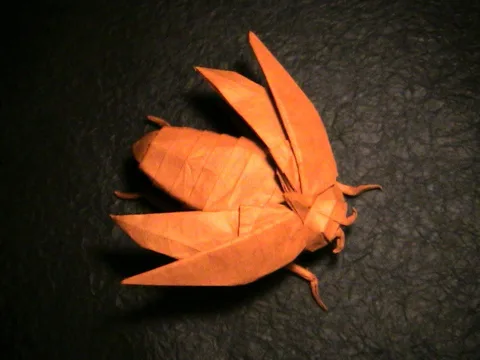 Jewel beetle