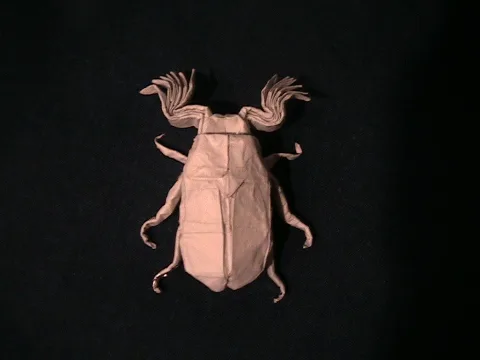 June Beetle (PD)