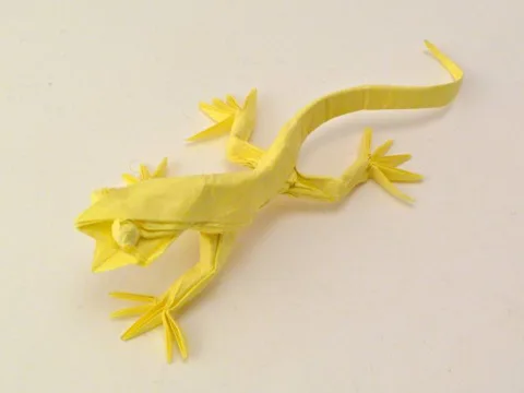 Lizard