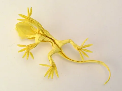 Lizard