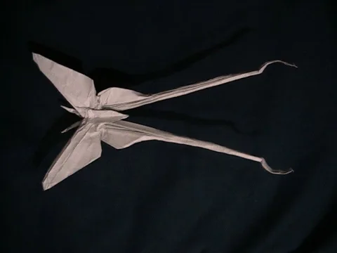 Luna Moth