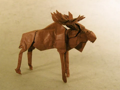 Moose