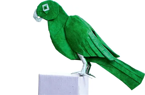 Parrot