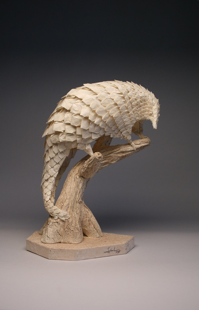 Pangolin