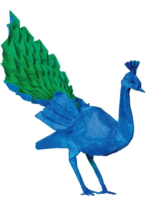 Peacock