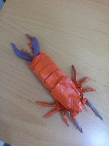 Earwig