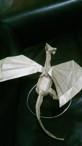 Fat Dragon