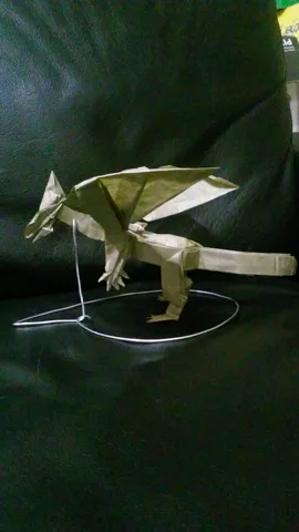 Fat Dragon