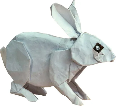 Rabbit