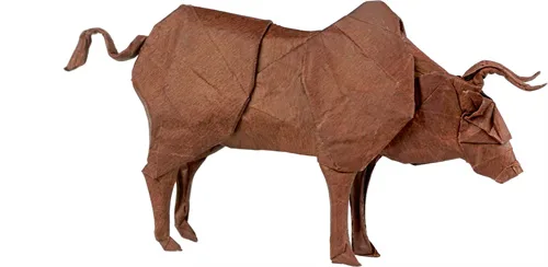 Cattle